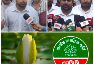 শাপলা কলি