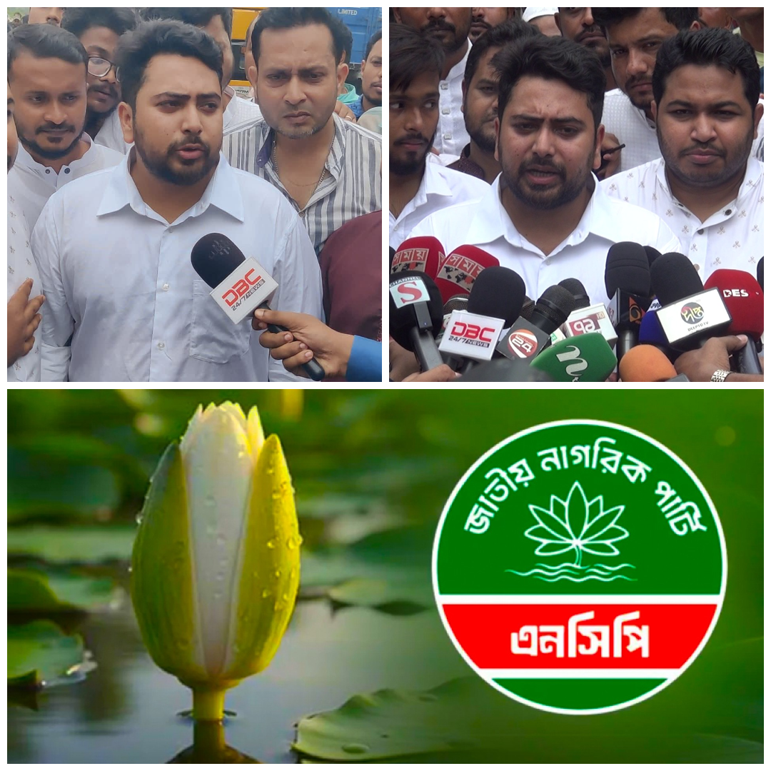 শাপলা কলি