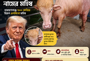 ডোনাল্ড ট্রাম্প’