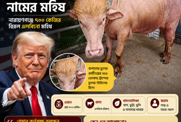 ডোনাল্ড ট্রাম্প’
